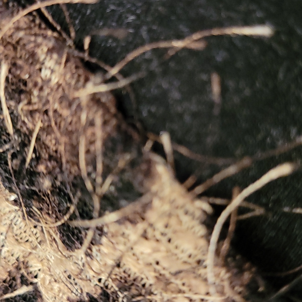 Alberto Makali Leopard Print Top with Matching Scarf - Picture 9 of 10